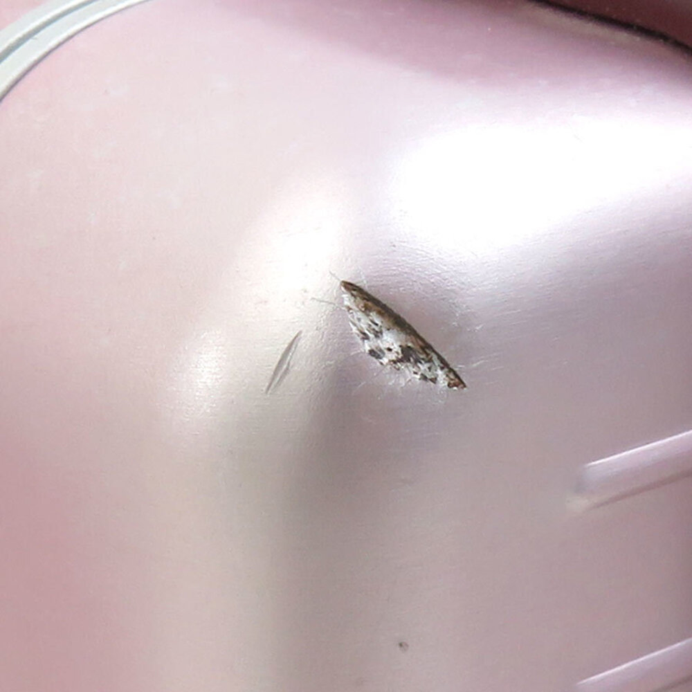 CHRISTIAN DIOR Pink Leather Shoulder Bag - Picture 6 of 16